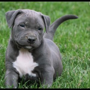 Meet your Posher, Fatimat